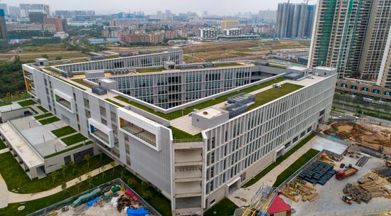 Technical university