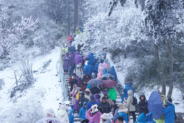 Hot search in Chengdu when it snows! Yesterday was "snow on the scalp", but today it's "white head" _fororder_ untitled -2